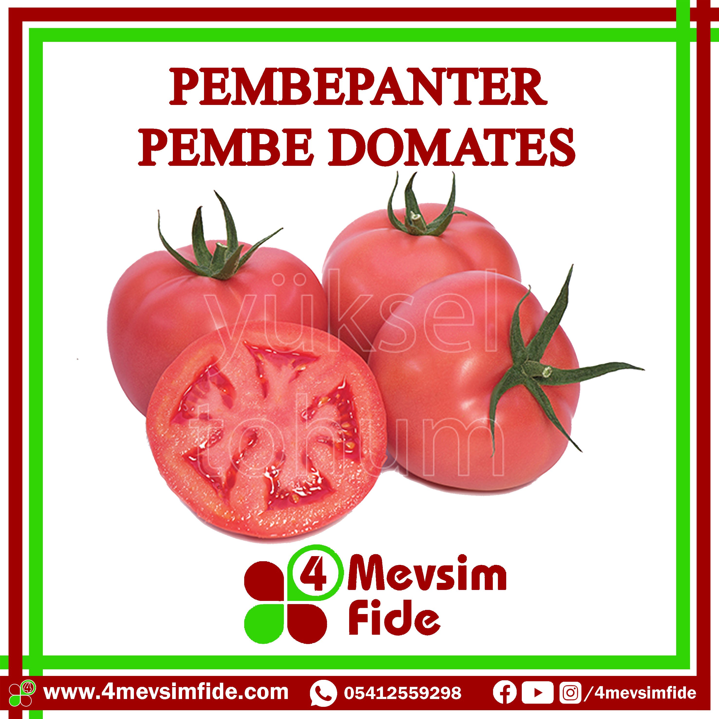 Pembepanter F1 Pembe Domates